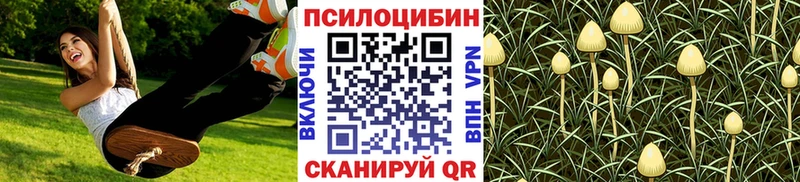 Псилоцибиновые грибы мицелий  Купить закладки  Алексеевка 